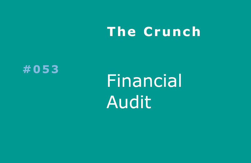 Financial Audit